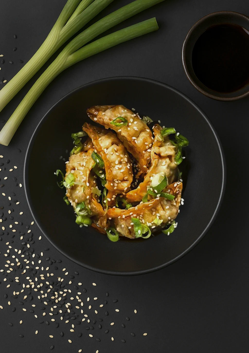 Gyoza Chicken Teriyaki